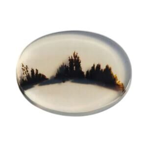 Gem Quality Dendritic Agate Cabochon 3D Tree Line Landscape Stone
